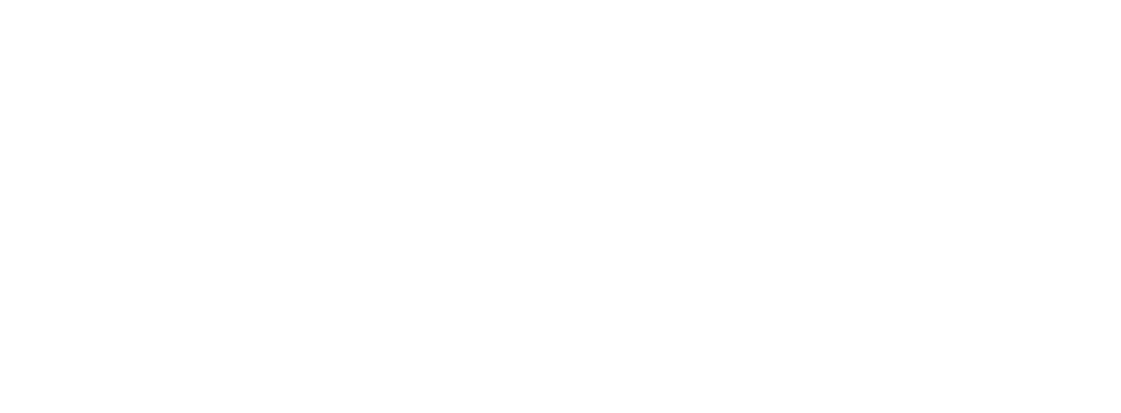 logo principal navia solutions - blanc